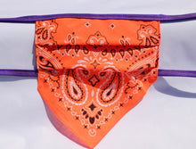 Load image into Gallery viewer, Clemson Orange Bandit Mask
